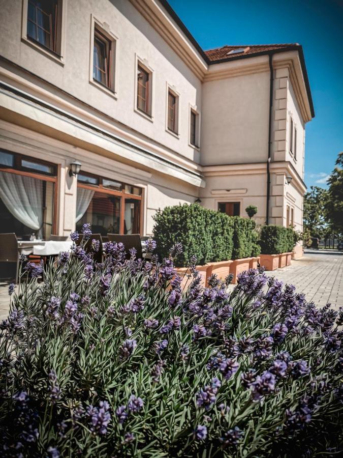 Restaurant Pansion Wien Cierny Brod Exteriör bild